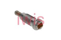 Intinzator,lant distributie AIC, Cod: 61499