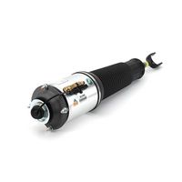 Air Suspension Strut