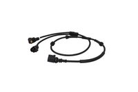Sensor, Raddrehzahl Sensor, Raddrehzahl