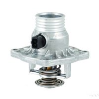 Thermostat, Kühlmittel