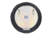 DT Spare Parts Veerbalg, luchtvering 4