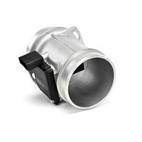 DELPHI Luchtmassameter 6