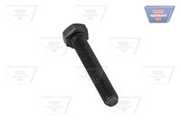 Montagesatz, Spannrolle (Zahnriemen)