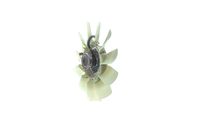 Thumbnail - Koelventilatorwiel - CFF480000P - MAHLE