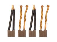 Carbon Brush, starter