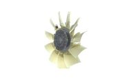 Thumbnail - Koelventilatorwiel - CFF507000P - MAHLE
