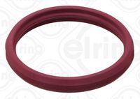 INEL DE ETANșARE DUZă DE INJECțIE