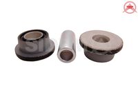 Mounting, control/trailing arm