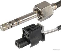 Sensor, Abgastemperatur