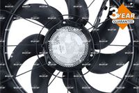 Article Picture