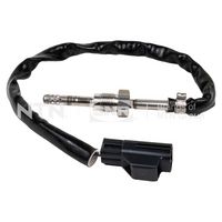 Sensor, Abgastemperatur