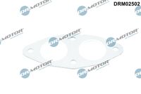 Gasket, exhaust pipe