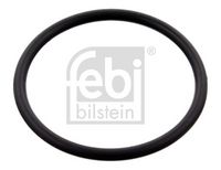 Gasket, thermostat housing