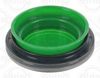 Wellendichtring, Elektromotor