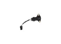 Sensor, Ladedruck