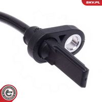 Article Picture