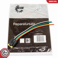 SET REPARAT CABLURI SUPAPA EGR