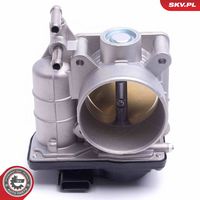 Article Picture
