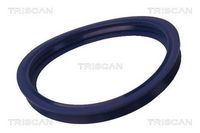 Garnitura, pompa combustibil TRISCAN, Cod: 8900 11150