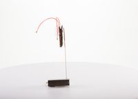 Article Picture