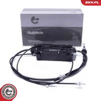 Control Element, parking brake caliper