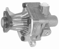 Hydraulikpumpe, Lenkung