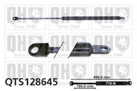 Gasfeder, Koffer-/Laderaum