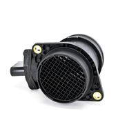 DELPHI Luchtmassameter 4