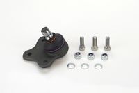 Trag-/Führungsgelenk