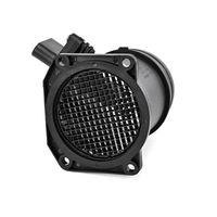 DELPHI Luchtmassameter 4