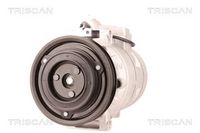 Compresor, climatizare TRISCAN, Cod: 9020 29030