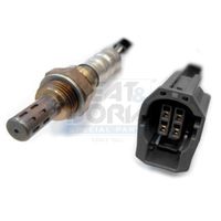 ламбда-сонда