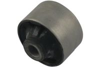 тампон, носач