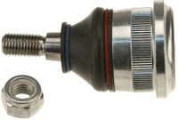 Trag-/Führungsgelenk