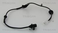 Sensor, Raddrehzahl