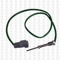 Sensor, Abgastemperatur