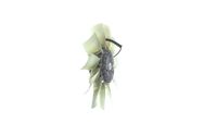 Thumbnail - Koelventilatorwiel - CFF480000P - MAHLE