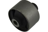 тампон, носач