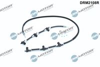 Schlauch, Leckkraftstoff Schlauch, Leckkraftstoff
