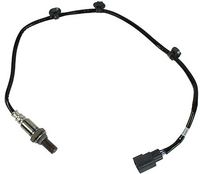 ламбда-сонда