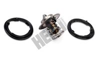 Thermostat, coolant