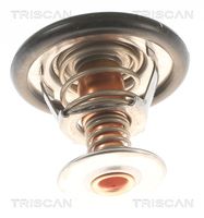 Thermostat, Kühlmittel