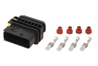 TRUCKLIGHT Stekker 1