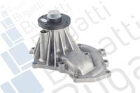 Wasserpumpe, Motorkühlung