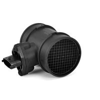 DELPHI Luchtmassameter 6