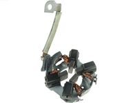 Holder, carbon brushes