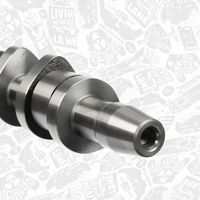 Thumbnail - Nokkenas - HV0343 - ET ENGINETEAM