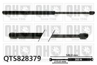 Gasfeder, Heckscheibe