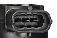 Article Picture