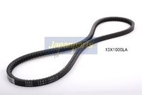 Curea transmisie JAPANPARTS, Cod: DT-13X1000LA